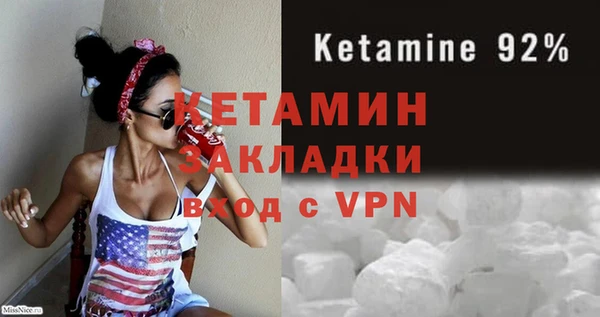 шишки Верея