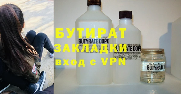 шишки Верея