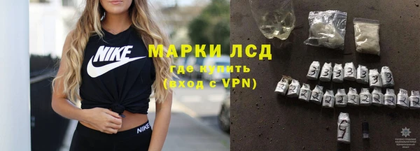 шишки Верея