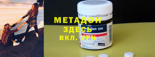 шишки Верея