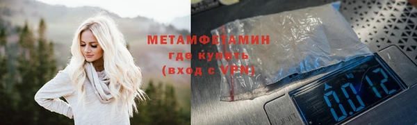 шишки Верея