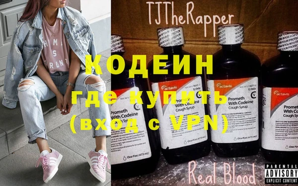 шишки Верея