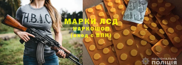 шишки Верея