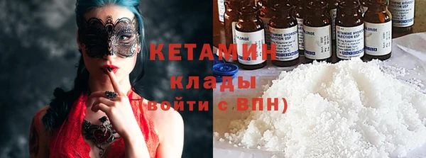 шишки Верея