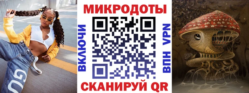 Галлюциногенные грибы Psilocybe  Княгинино 